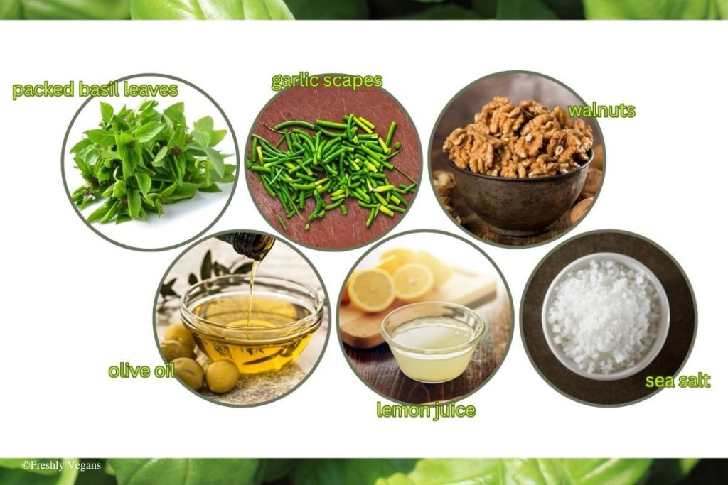 Ingredients of Garlic Scape Pesto